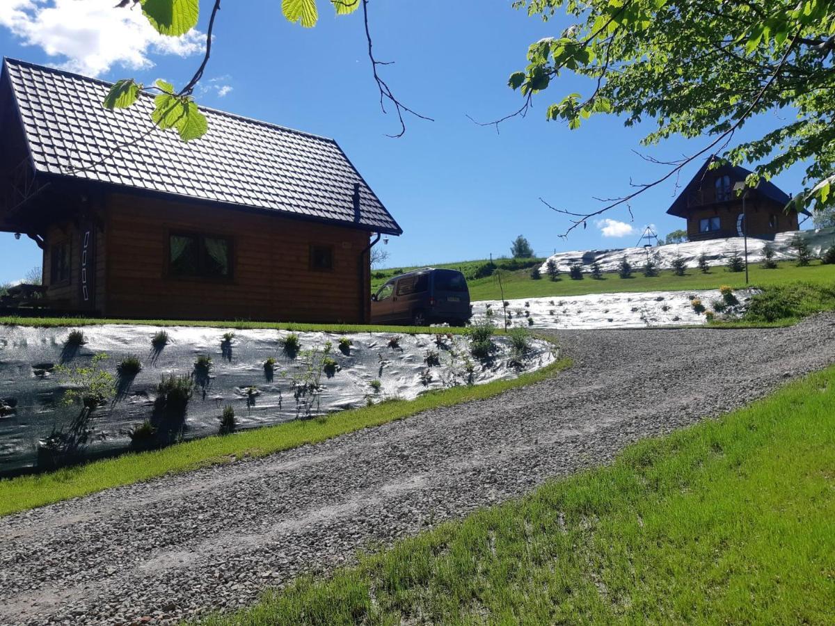 Domek Na Wzgorzu "Wilk" Swiatkowa Mala Exterior photo